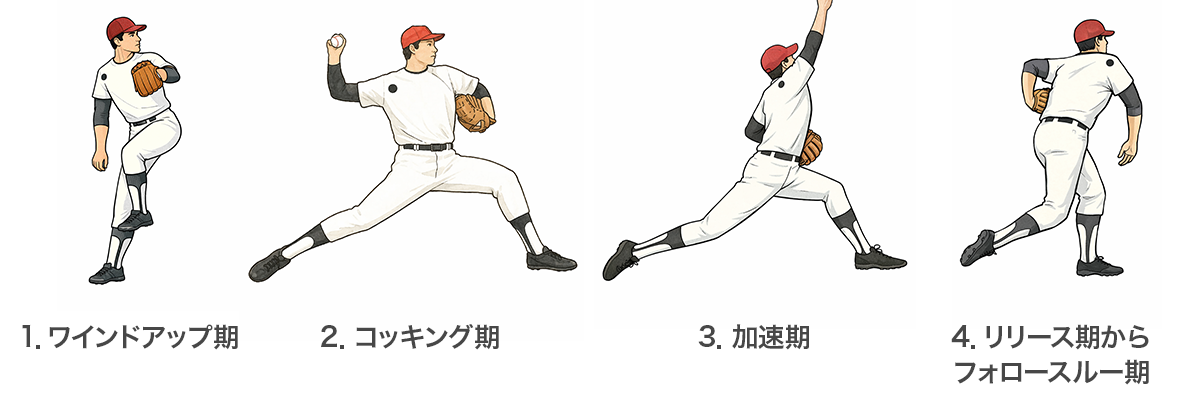 野球肘 投球動作4段階